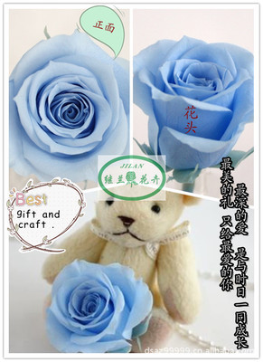 全球暢銷，廠家直銷——昆明鄭繼蘭花卉優(yōu)質(zhì)保鮮花花材批發(fā)與零售