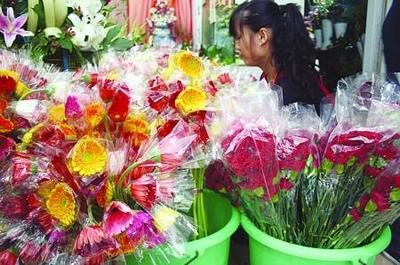 教師節(jié)鮮花熱賣 禮品花卉銷售熱潮中的情感與商機