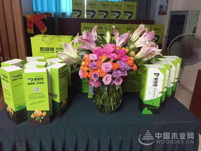 共謀發(fā)展，鵬森緣柳州客戶交談會盛大舉行，禮品花卉銷售迎春綻放