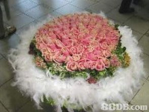 怡豐禮品設(shè)計(jì)花廊 以花為禮，傳遞每一份美好心意